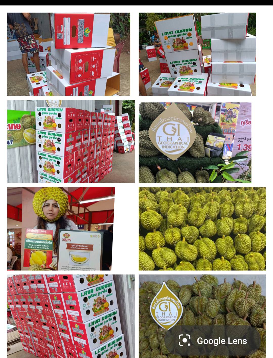 ภายในโกดังคัดแยกสินค้าเกษตร