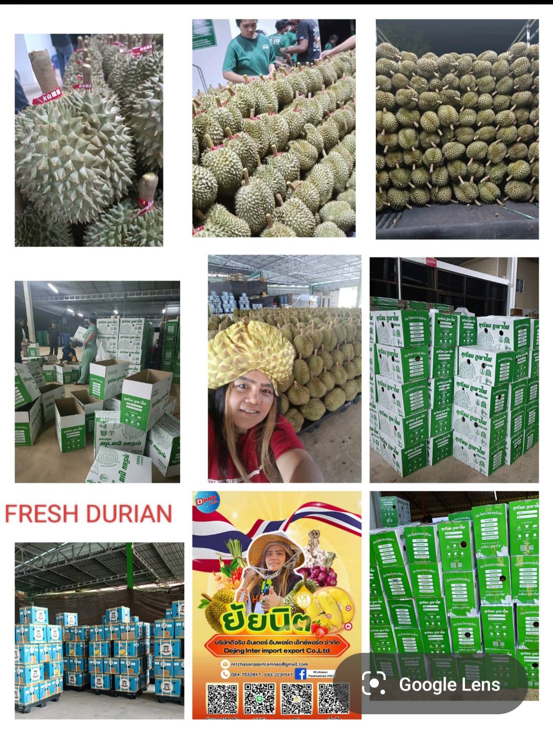 การบรรจุสินค้าเกษตรเพื่อการส่งออก
